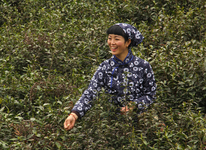 17间房主播跳舞 直播1
